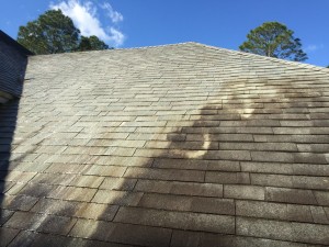 dirt and grime on a roof