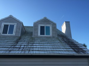 roof stain and roof cleaning jacksonville fl
