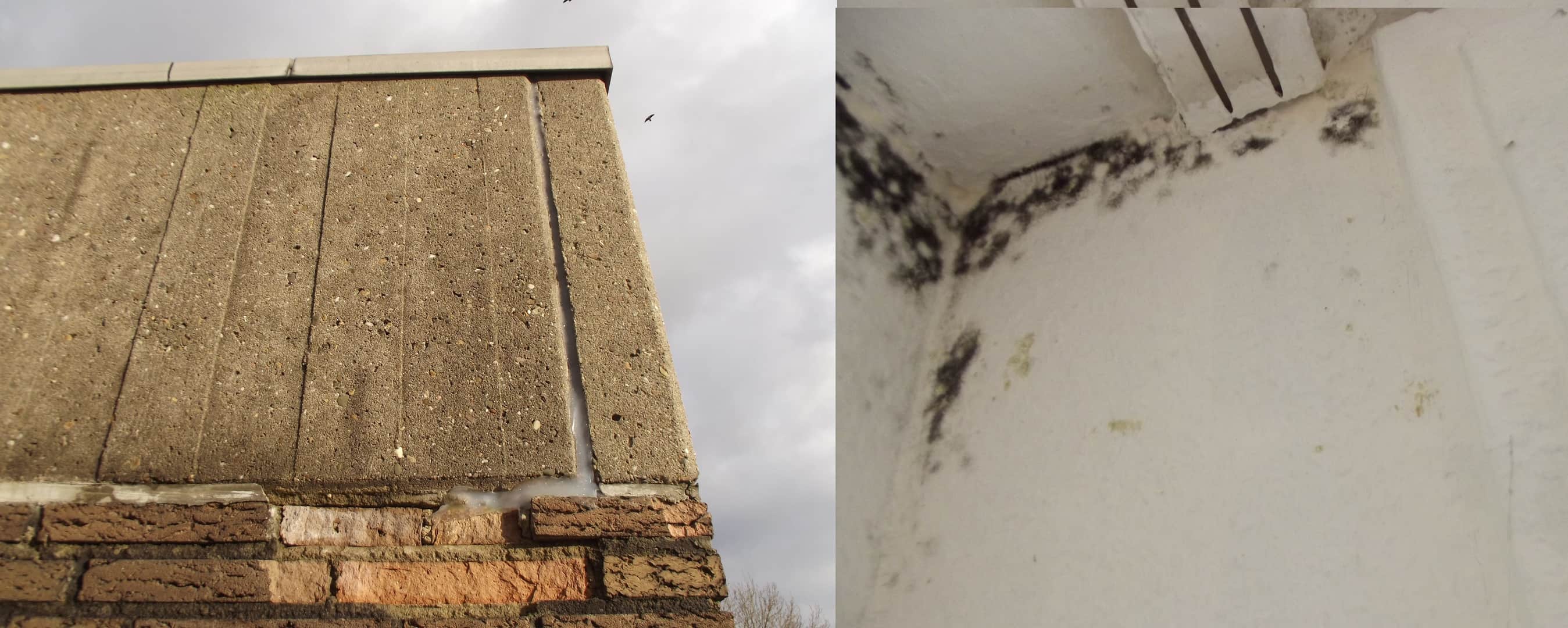 Mold can cause health problems. Krystal Klean is experienced in mold removal.